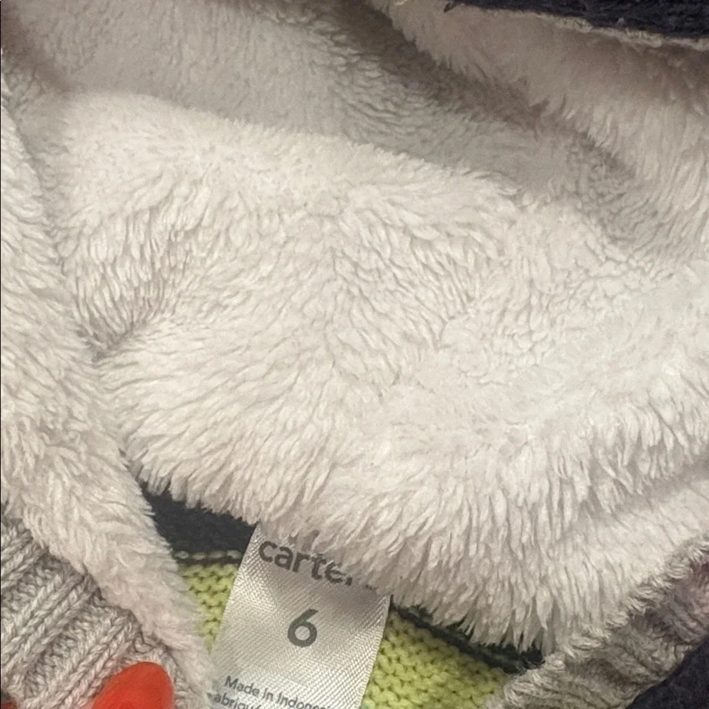 Carter's Multicolor Striped Hoodie